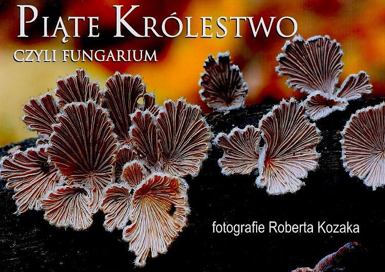 Piąte Królestwo czyli FUNGARIUM - wystawa fotografii Roberta Kozaka